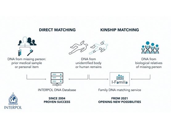 Infographic explaining INTERPOL’s iFamilia DNA matching system for identifying missing persons through direct and kinship matching