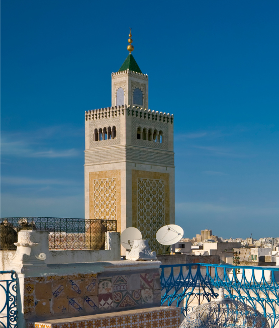 Vue de Tunis, capitale de la Tunisie