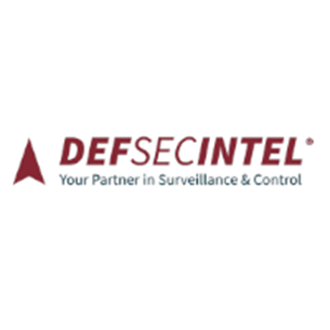 Logo DefSecIntel Solutions